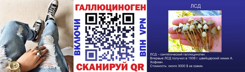 где купить   Александровское  Галлюциногенные грибы Psilocybine cubensis 