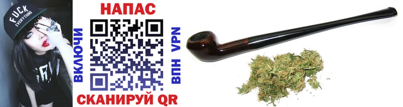 сколько стоит Александровское Каннабис OG Kush